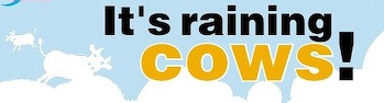 rainingcowstitle